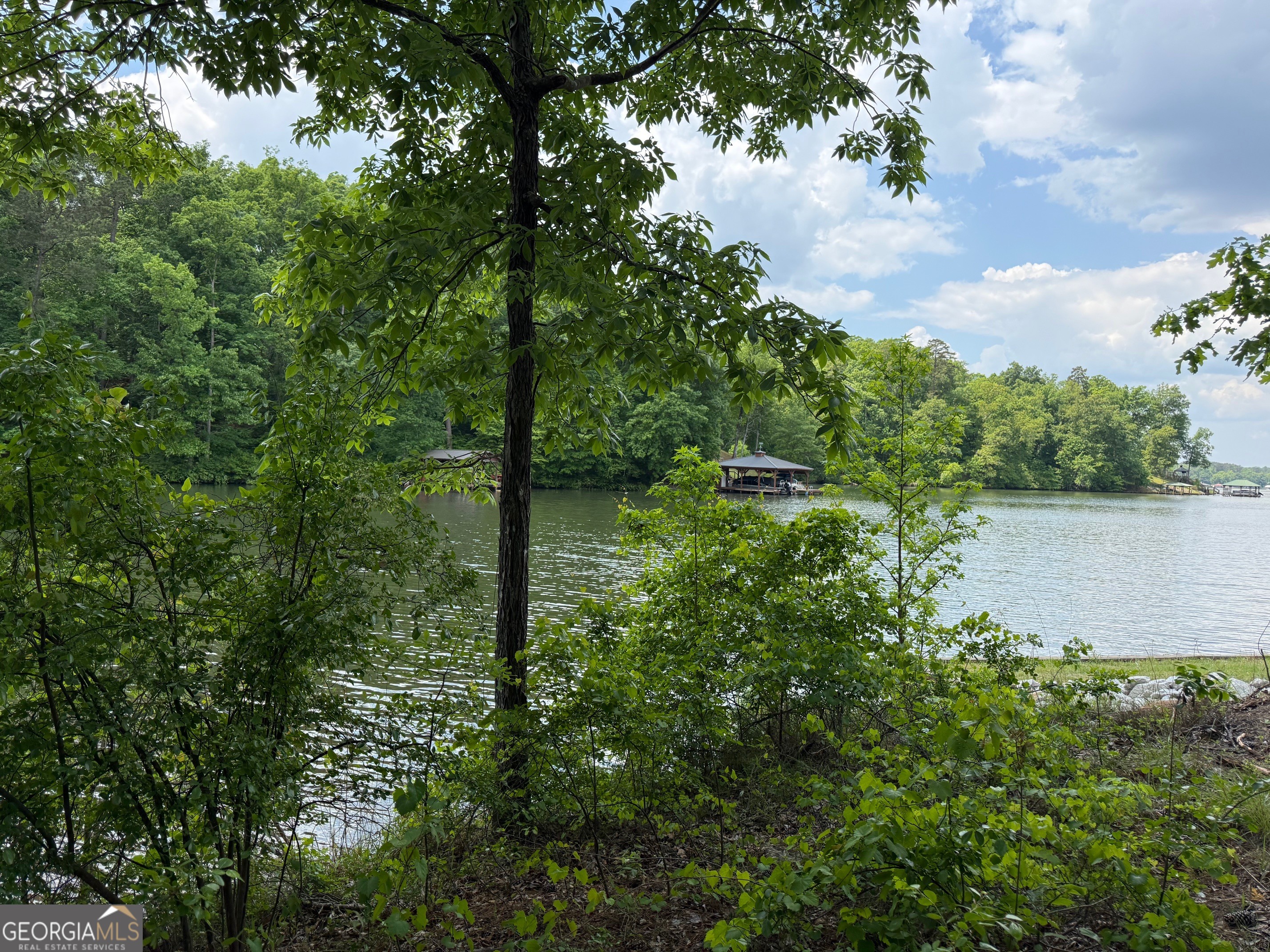 0 Hickory Pass Sparta, GA 31087 - Photo 5 of 40