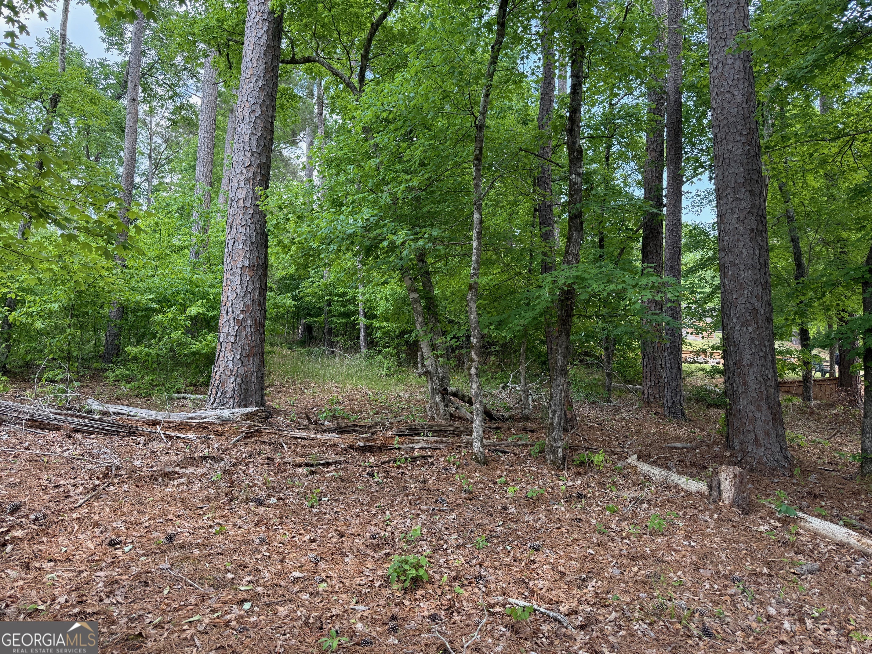 0 Hickory Pass Sparta, GA 31087 - Photo 6 of 40