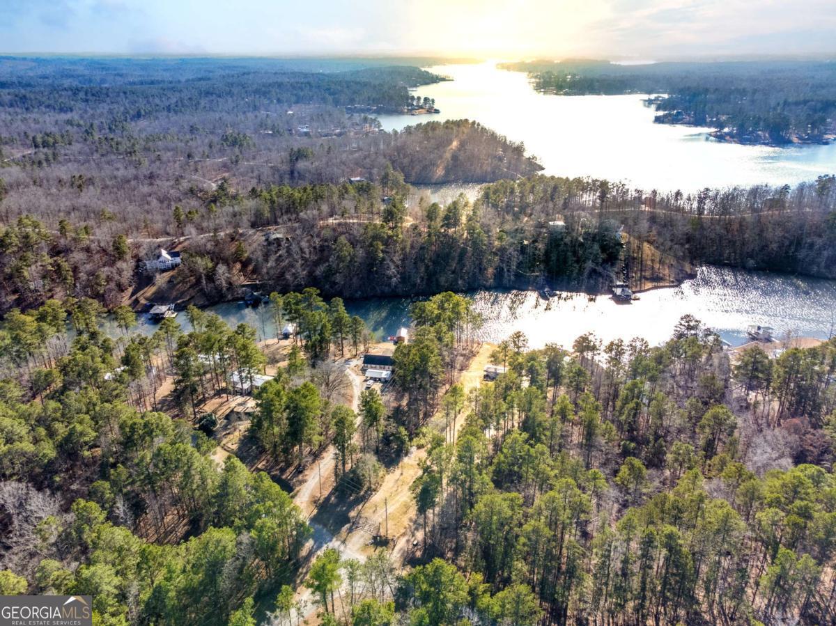 0 Hickory Pass Sparta, GA 31087 - Photo 7 of 33