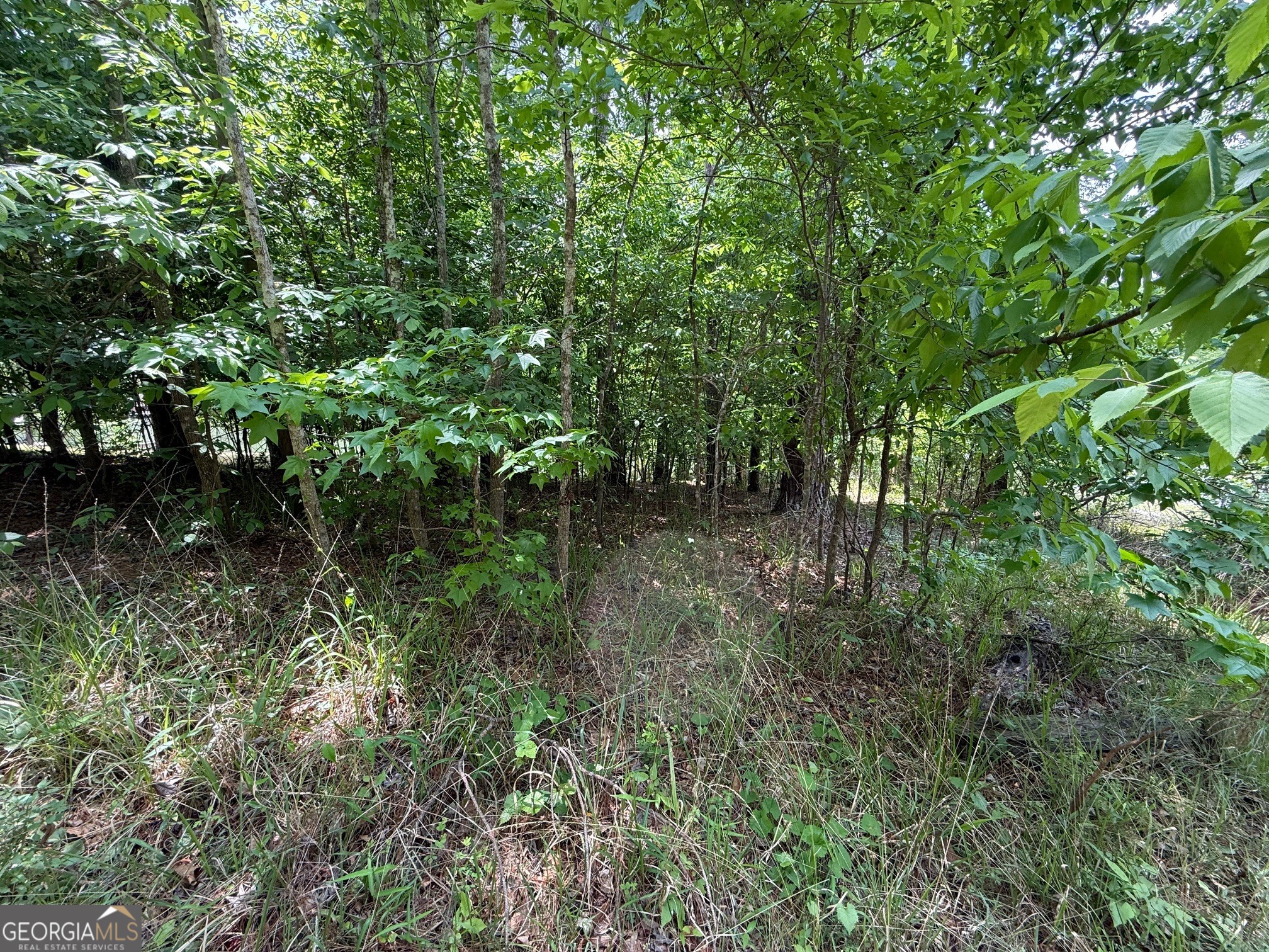 0 Hickory Pass Sparta, GA 31087 - Photo 7 of 40