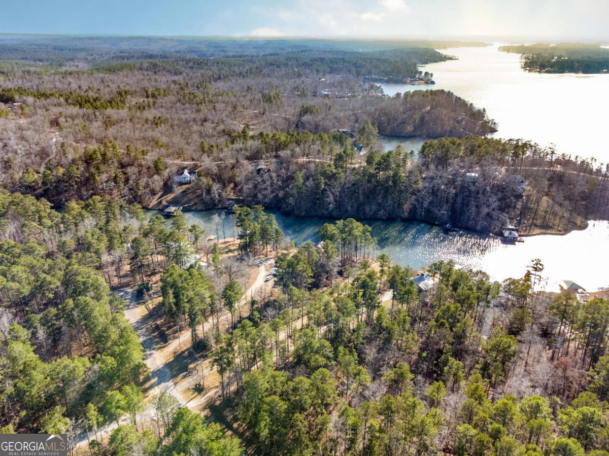 0 Hickory Pass Sparta, GA 31087 - Photo 8 of 33