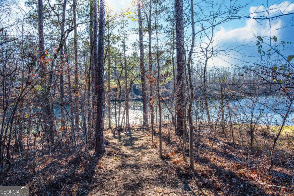0 Hickory Pass Sparta, GA 31087 - Photo 9 of 40