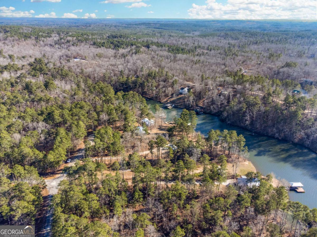 0 Hickory Pass Sparta, GA 31087 - Photo 9 of 33