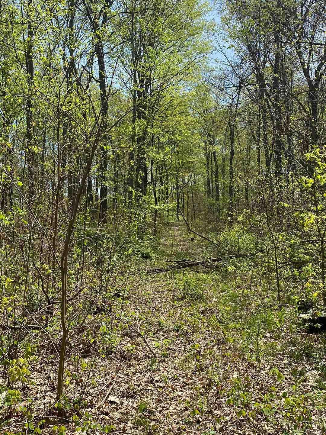 Tbd Maul Ridge Road Bedford, IN 47421 - Photo 1 of 3
