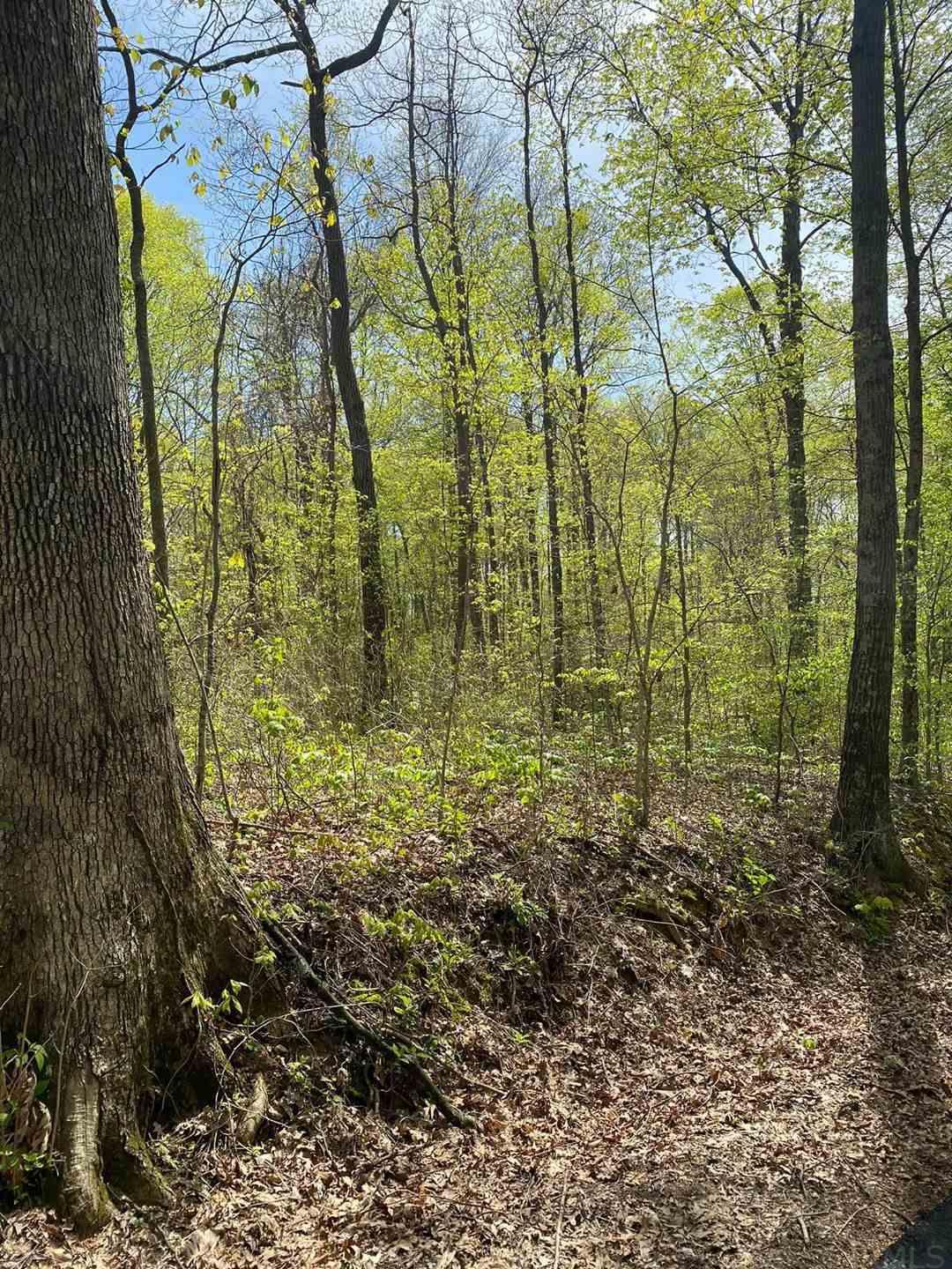 Tbd Maul Ridge Road Bedford, IN 47421 - Photo 2 of 3