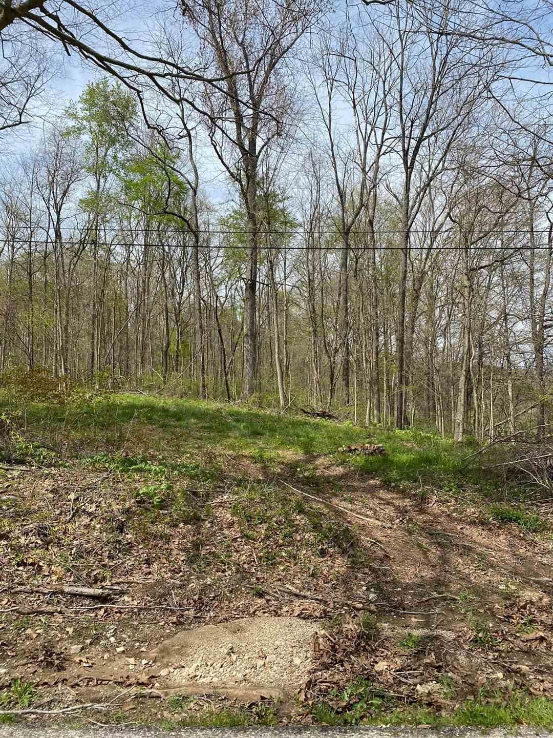 Tbd Maul Ridge Road Bedford, IN 47421 - Photo 3 of 3