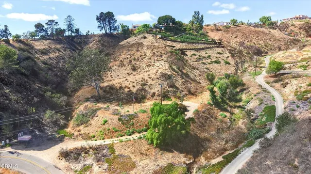 a view of a yard with a tree