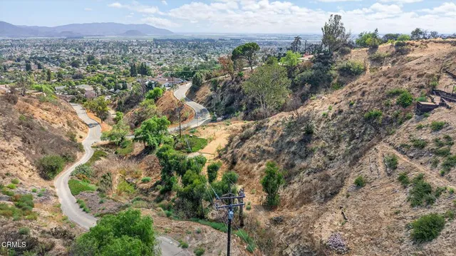 a view of a city with lush green forest
