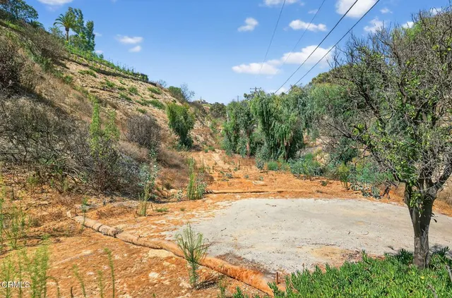 a view of dirt yard with a large tree