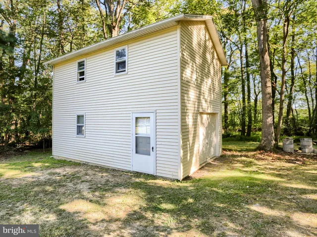a view of a backyard with plants and large trees