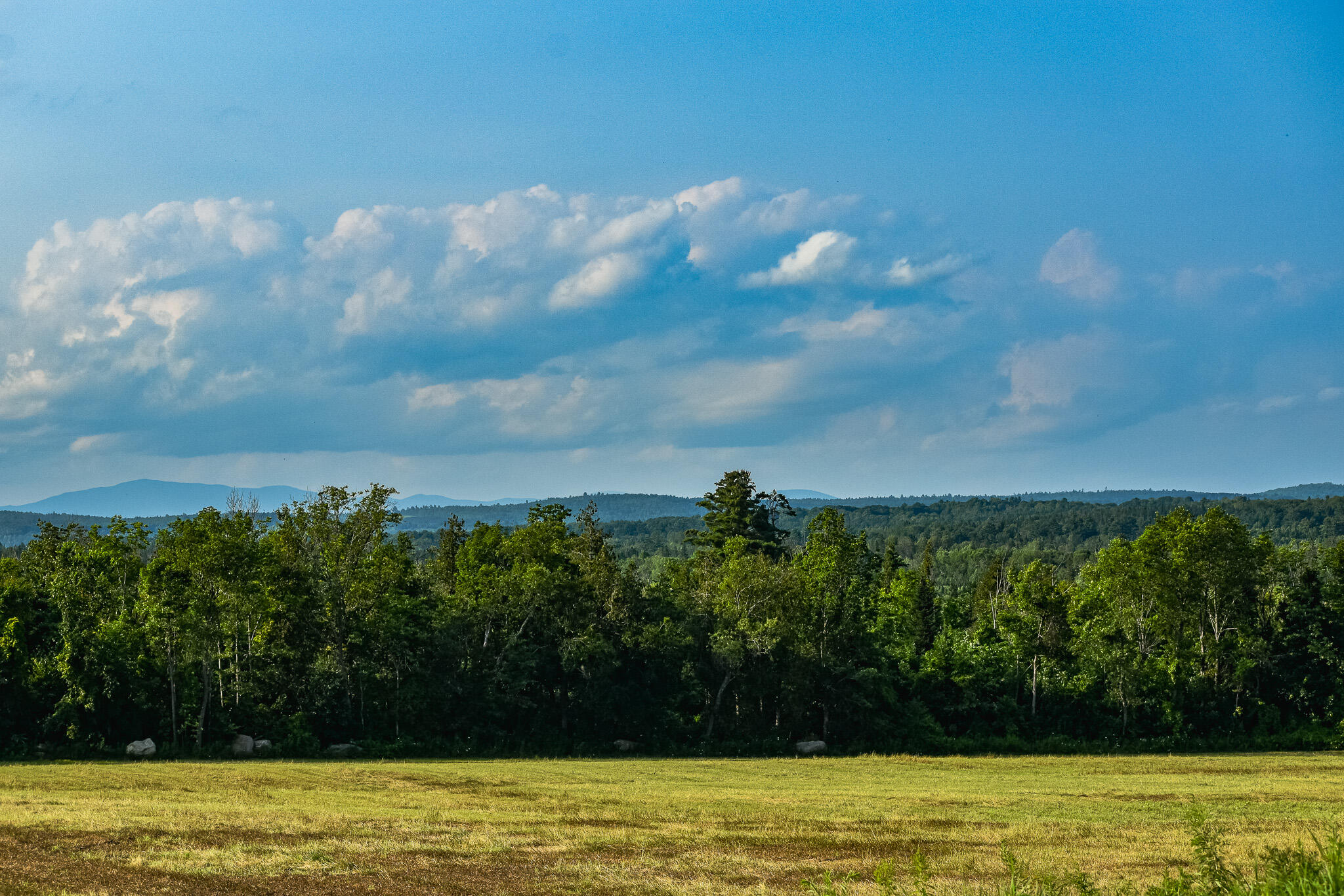 0 Atkinson Road Dover-Foxcroft, ME 04426 - Photo 4 of 63 DSC_0981