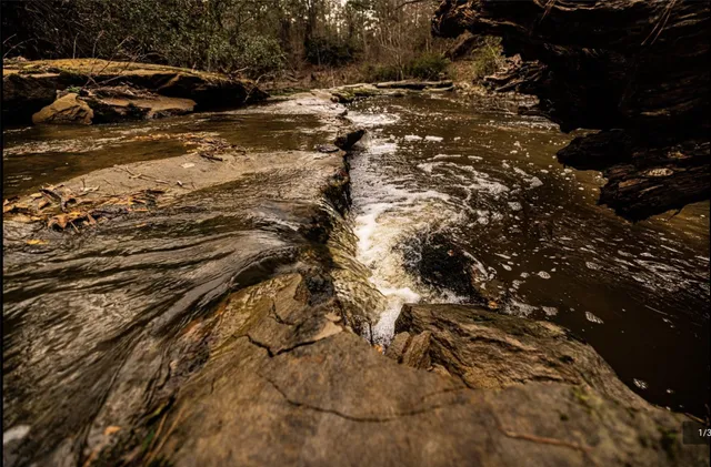 $1,070,000 | 6340 Josserand Road, Groveton, TX 75845