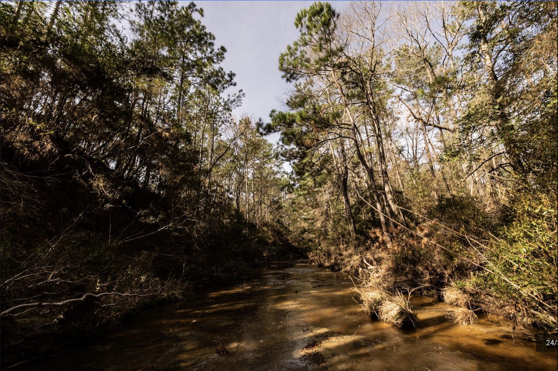 6340 Josserand Road Groveton, TX 75845 - Photo 14 of 19