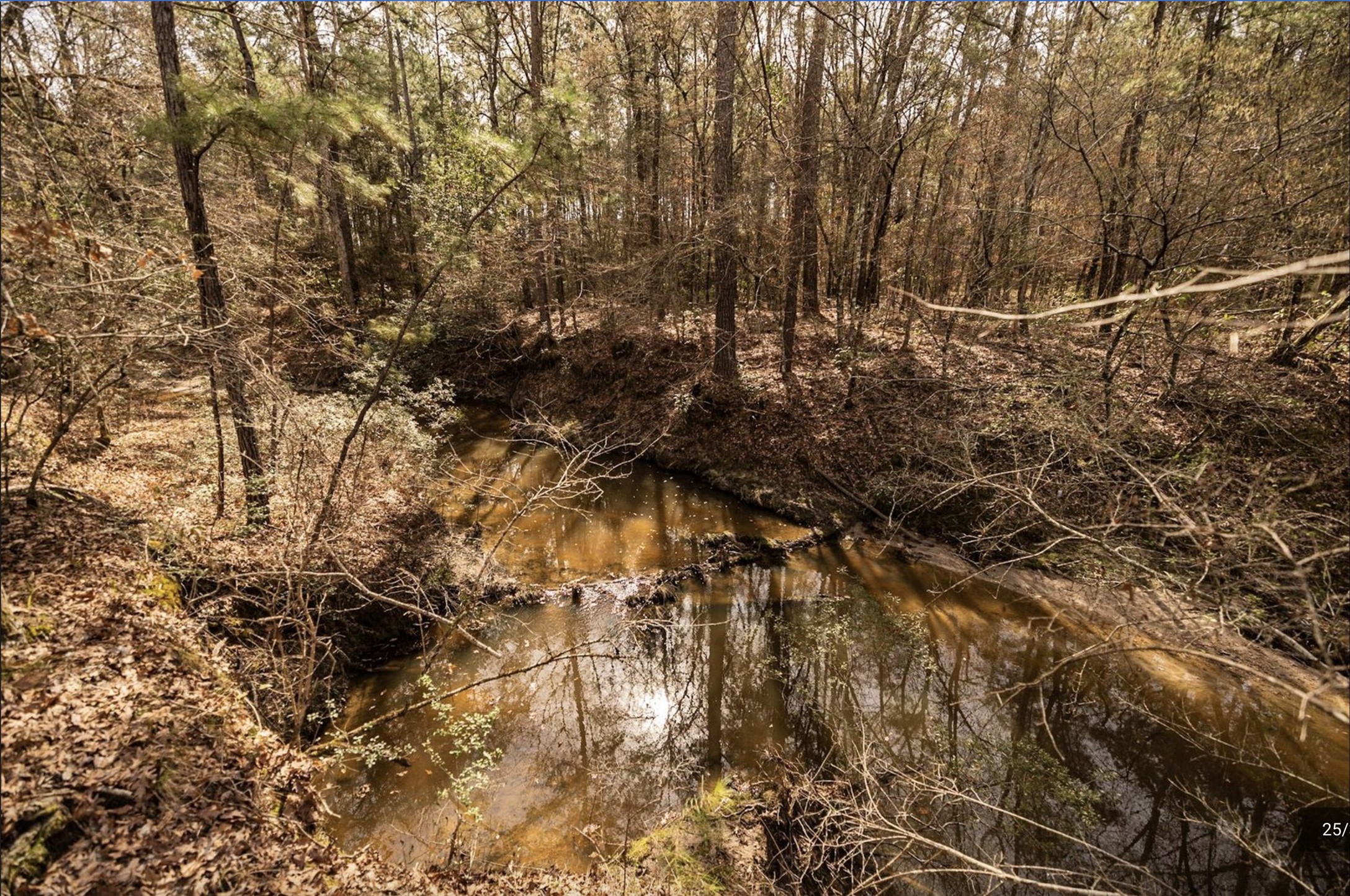 6340 Josserand Road Groveton, TX 75845 - Photo 15 of 19