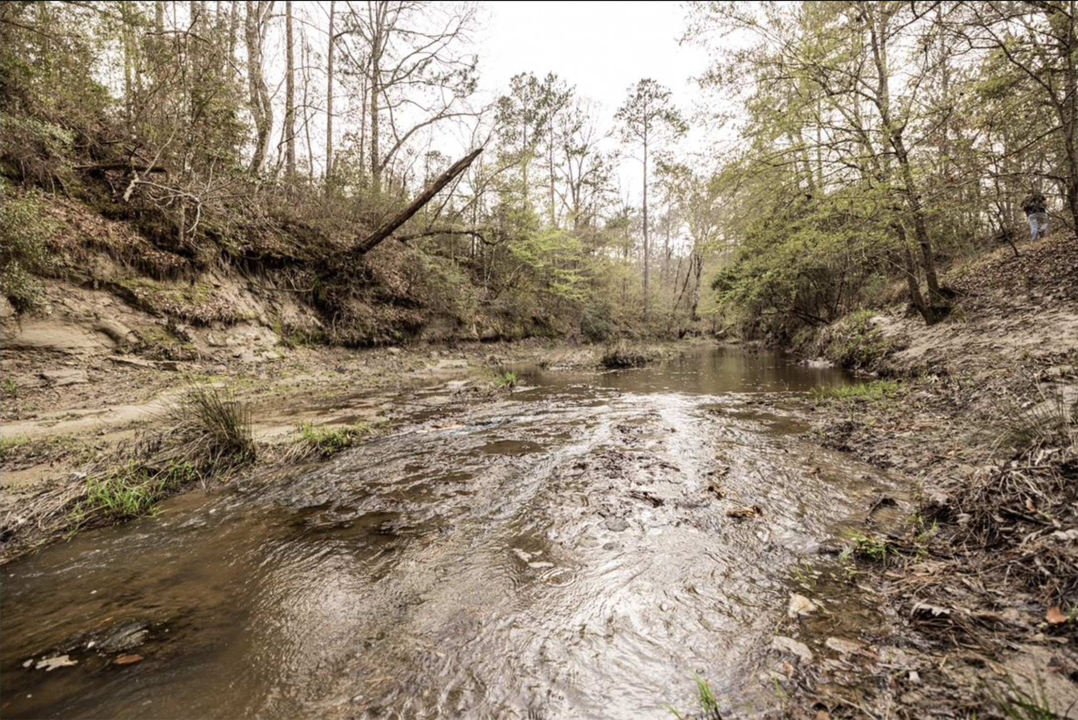 6340 Josserand Road Groveton, TX 75845 - Photo 16 of 19