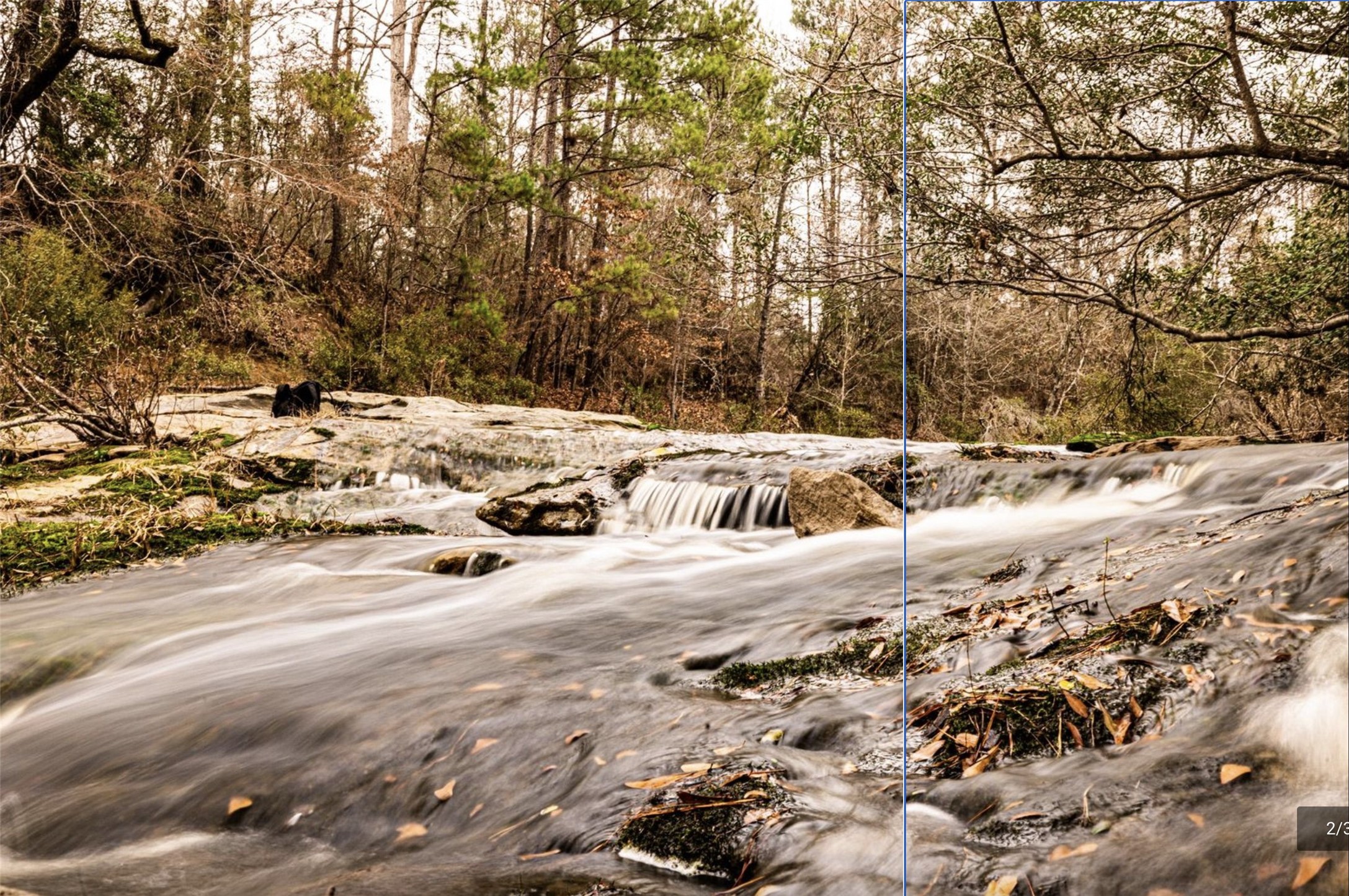 6340 Josserand Road Groveton, TX 75845 - Photo 3 of 19