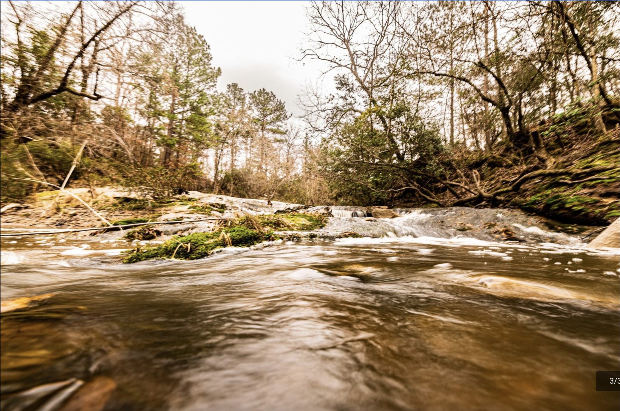 6340 Josserand Road Groveton, TX 75845 - Photo 4 of 19