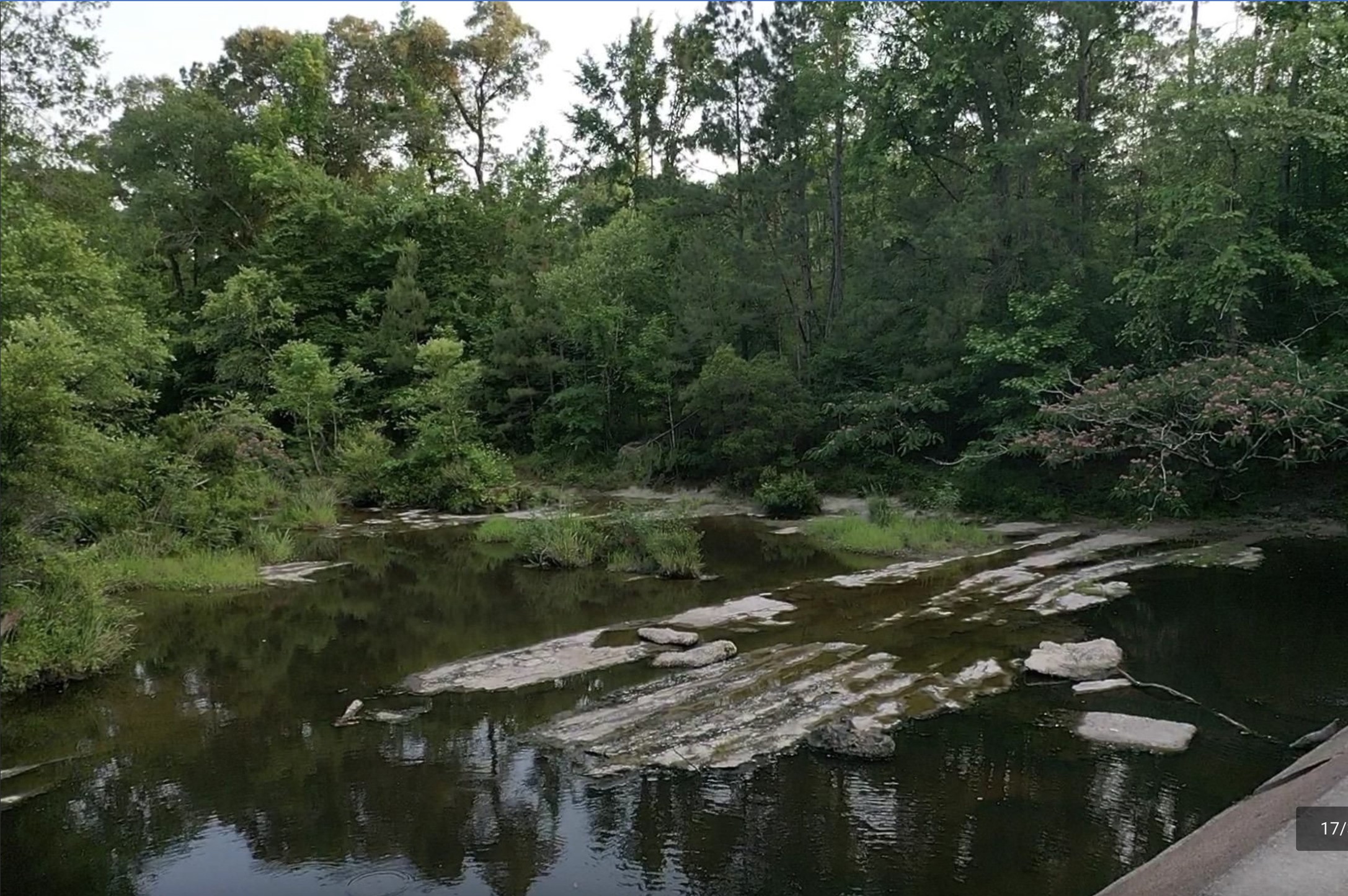 6340 Josserand Road Groveton, TX 75845 - Photo 7 of 19