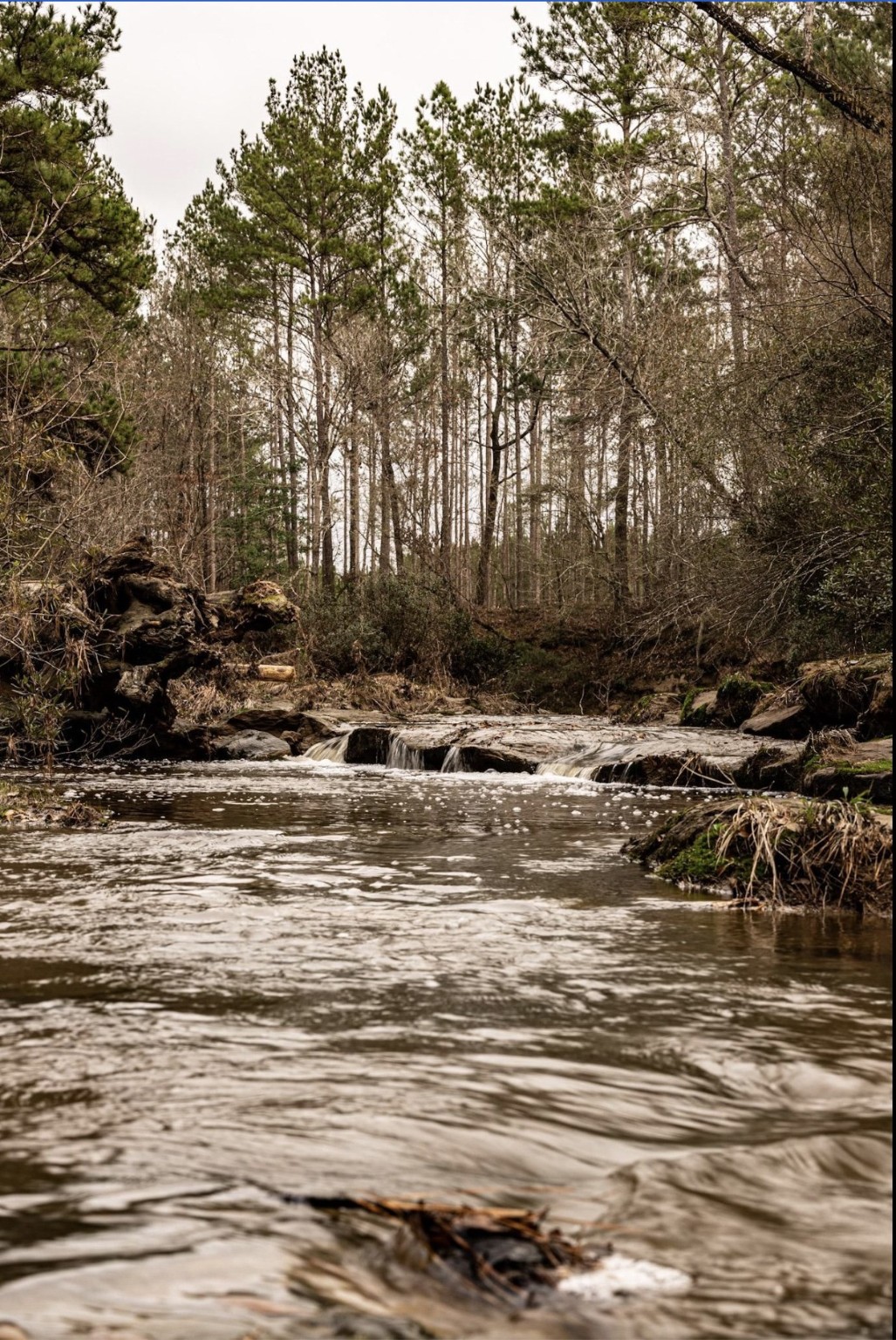 6340 Josserand Road Groveton, TX 75845 - Photo 8 of 19