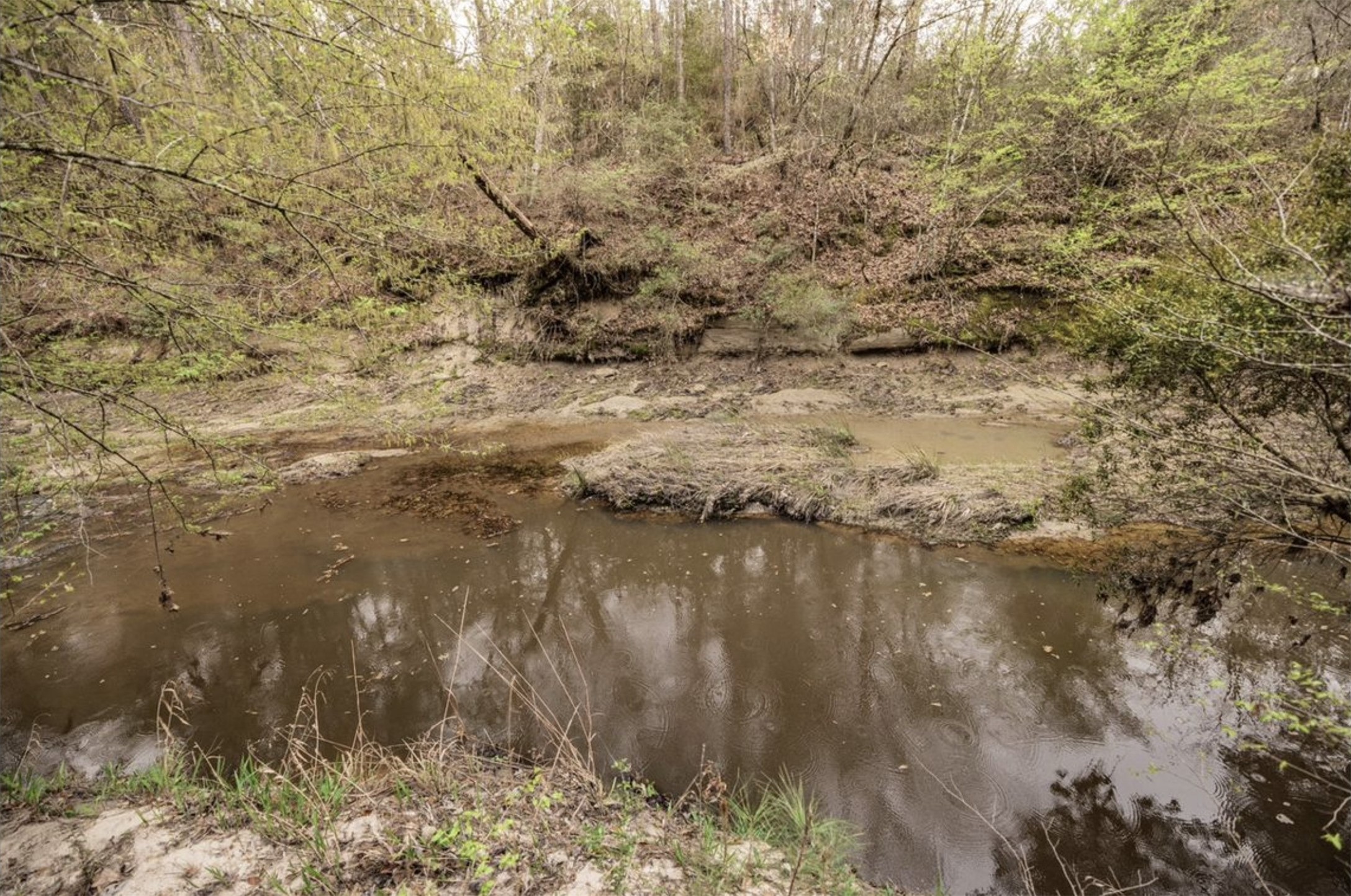 6340 Josserand Road Groveton, TX 75845 - Photo 9 of 19