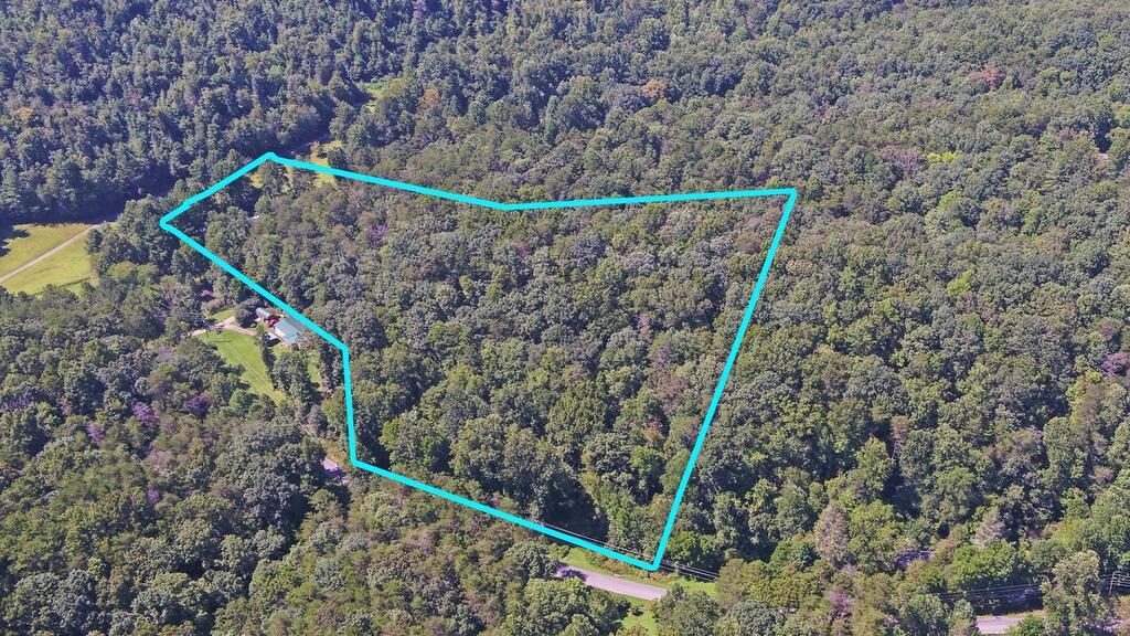 1374 Lucius Road Cherry Log, GA 30522 - Photo 58 of 64 Gallery Image 58