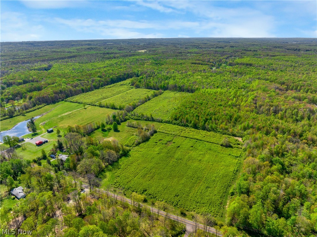 Balch Road Thompson, OH 44086 - Photo 2 of 11 Expansive rural property featuring a large pond, multiple cleared fields, and abundant mature tree cover