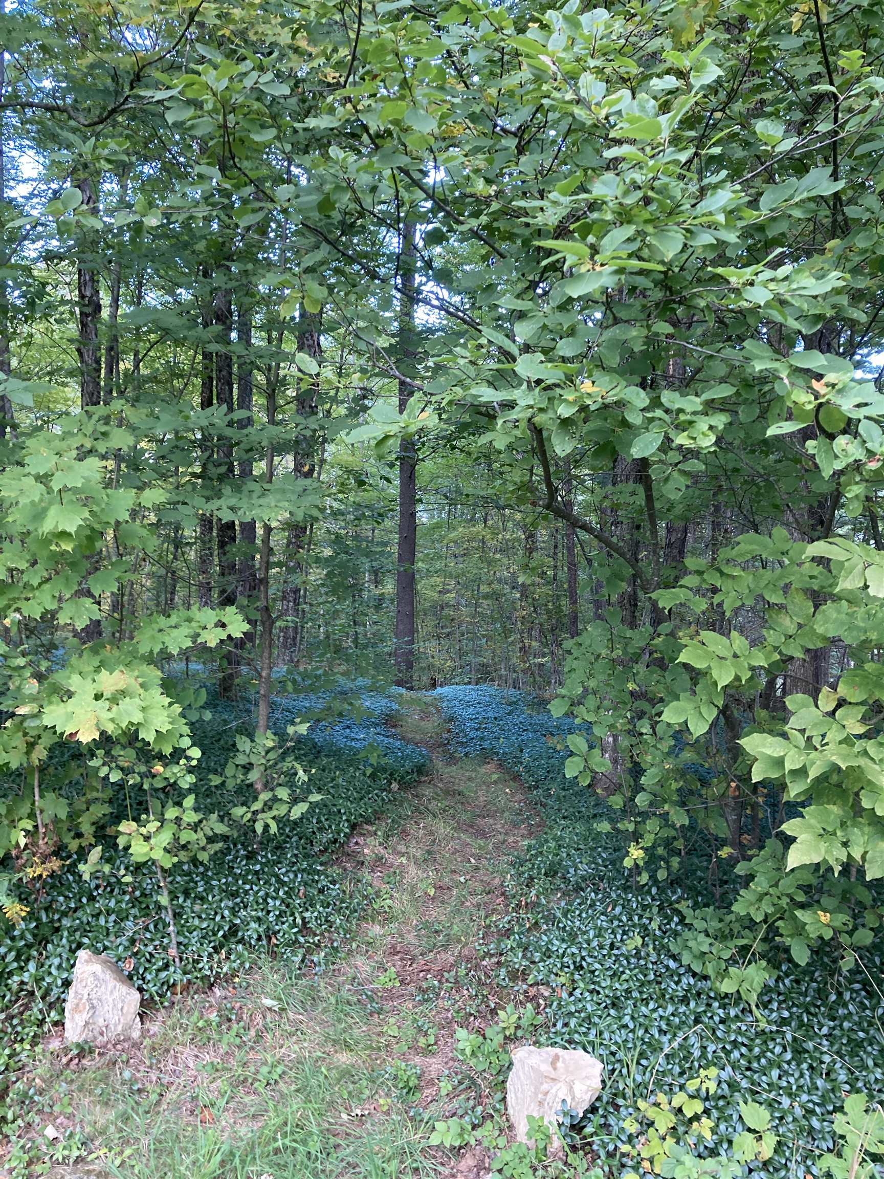 10 Cold Pond Road Acworth, NH 03601 - Photo 59 of 60