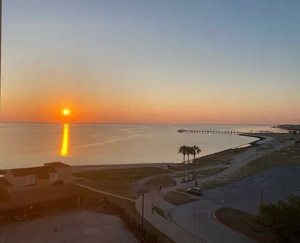 a view of a ocean and beach