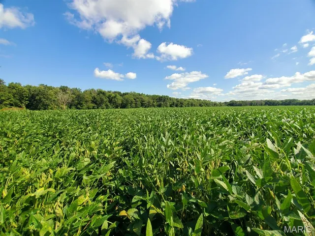 $766,700 | 0 212th Street, Lewistown, MO 63452