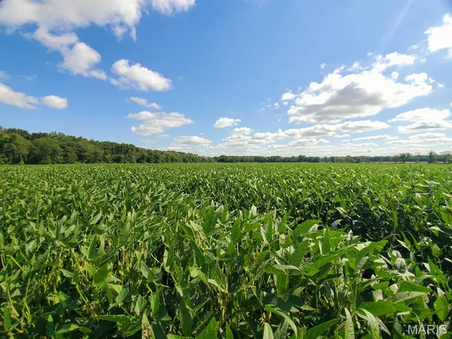 $766,700 | 0 212th Street, Lewistown, MO 63452