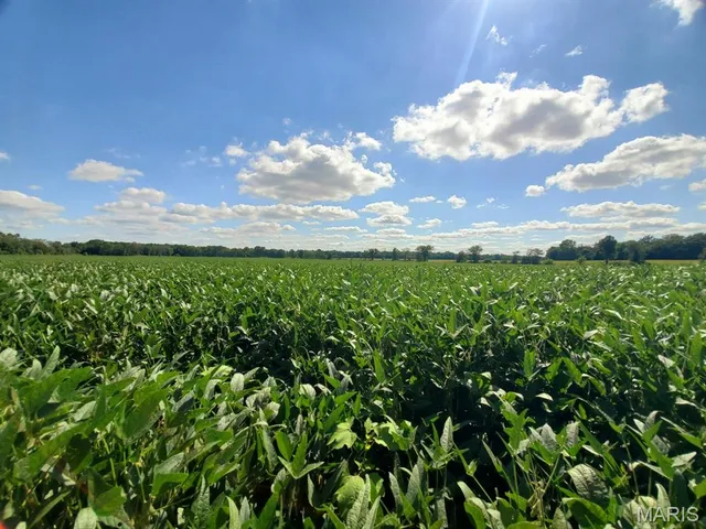 $766,700 | 0 212th Street, Lewistown, MO 63452