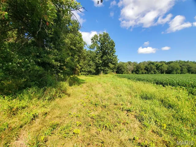 $766,700 | 0 212th Street, Lewistown, MO 63452