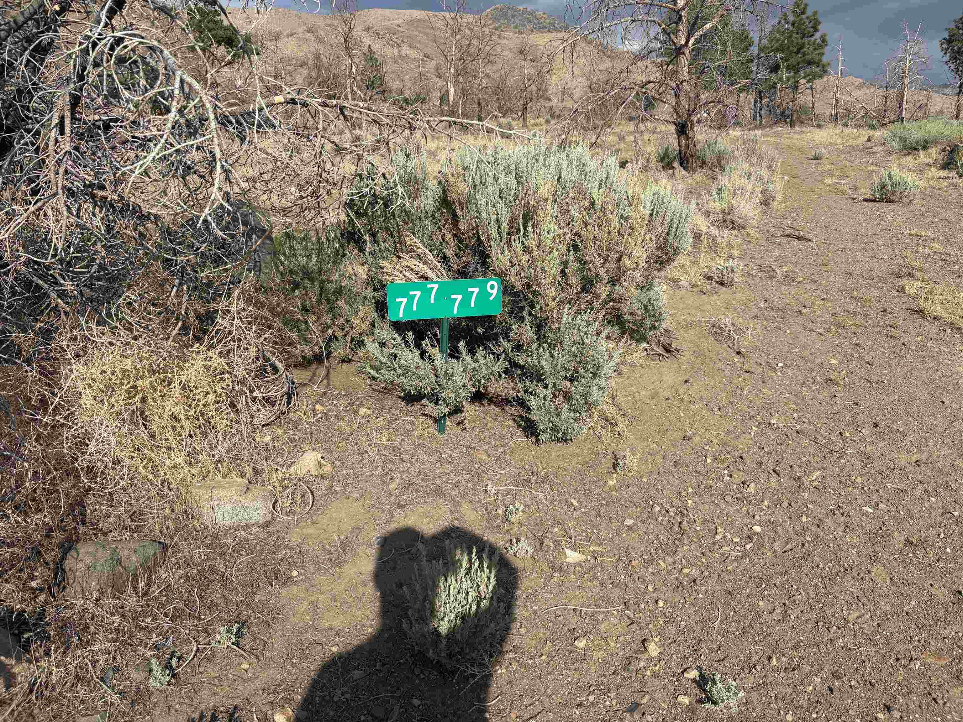 775 Eastside Road Coleville, CA 96107 - Photo 11 of 12