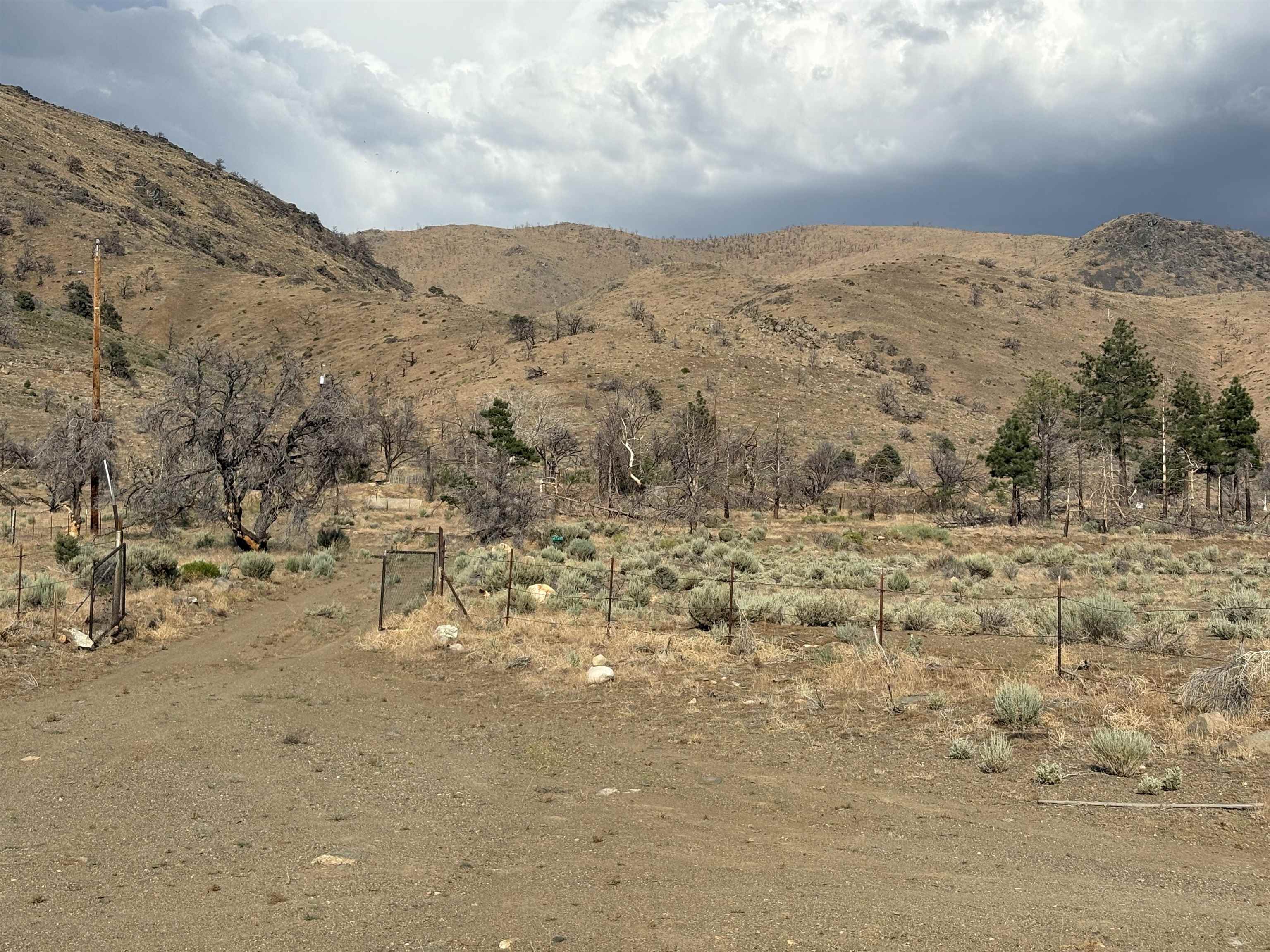 775 Eastside Road Coleville, CA 96107 - Photo 2 of 12