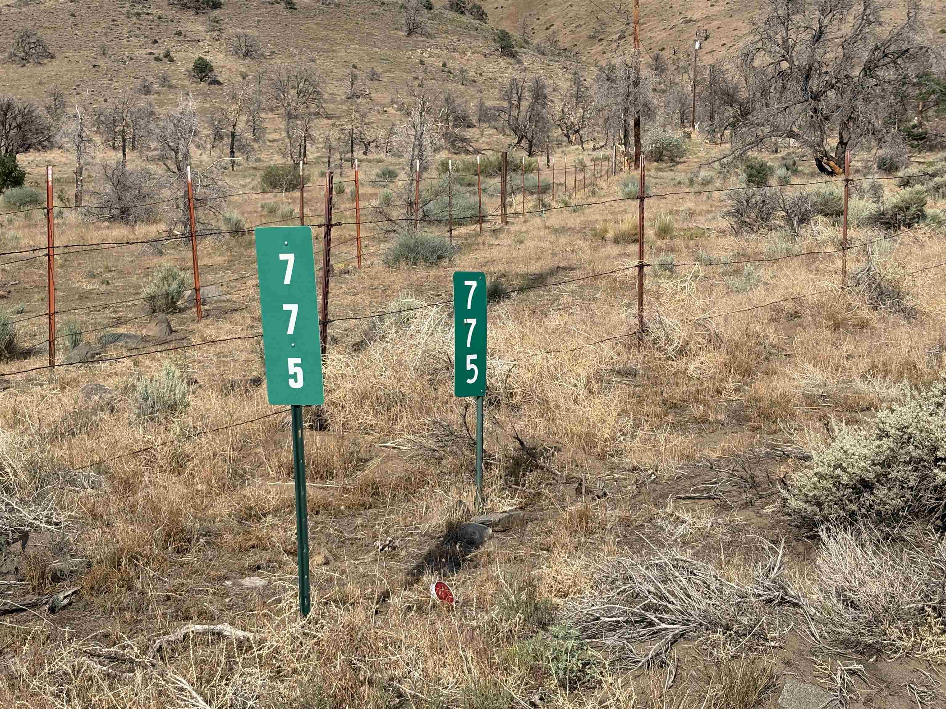 775 Eastside Road Coleville, CA 96107 - Photo 3 of 12