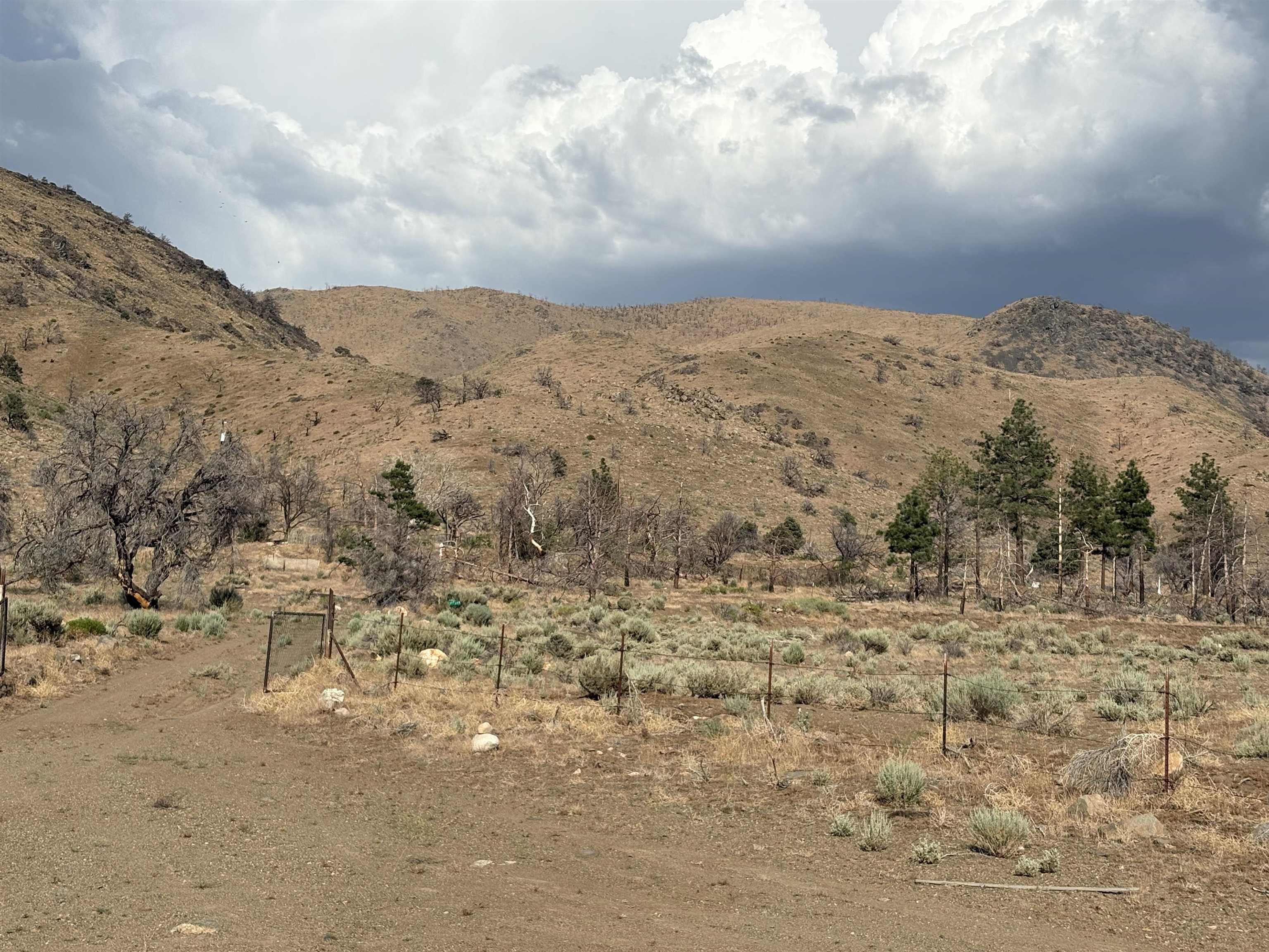 775 Eastside Road Coleville, CA 96107 - Photo 4 of 12