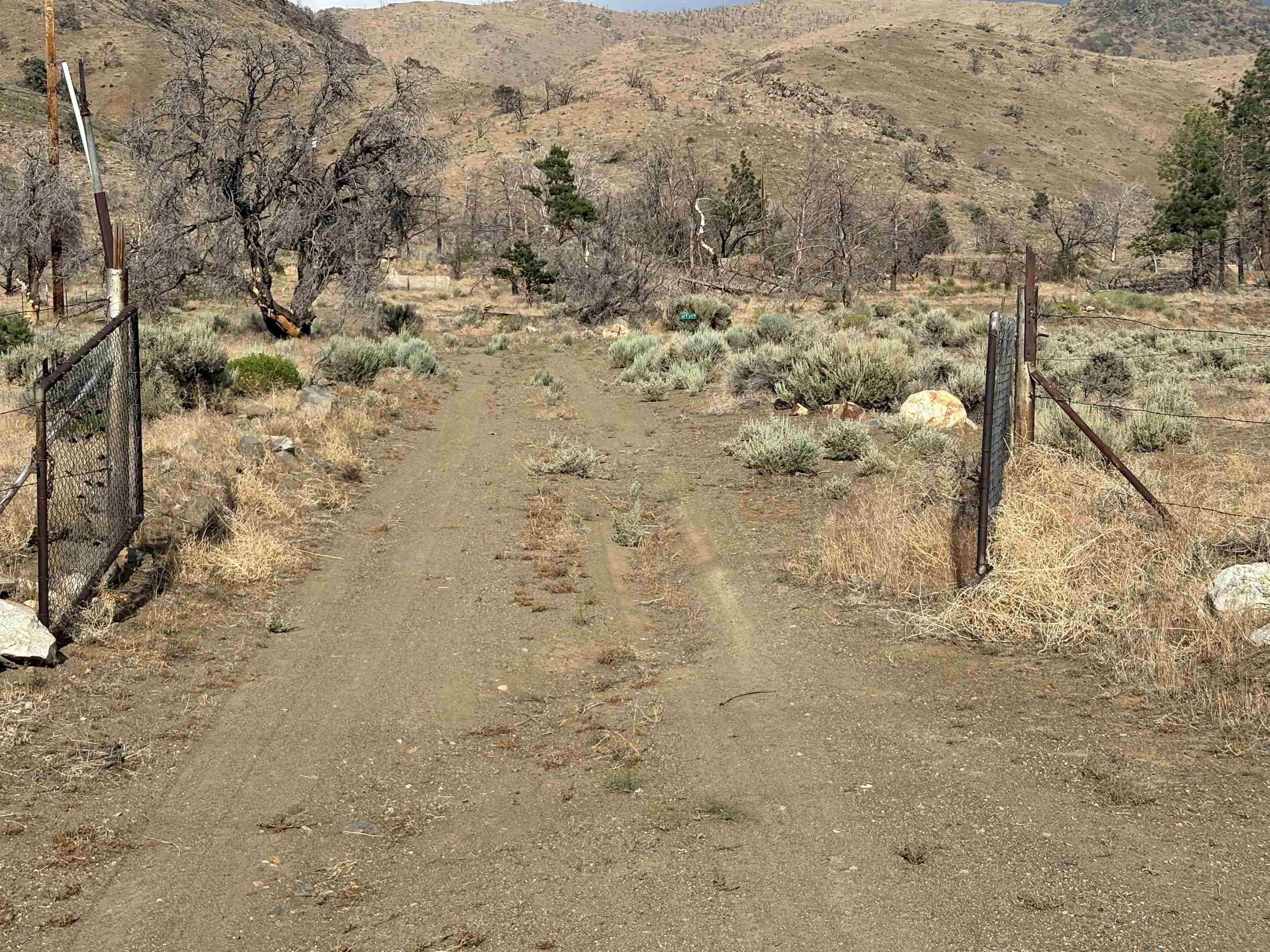 775 Eastside Road Coleville, CA 96107 - Photo 5 of 12