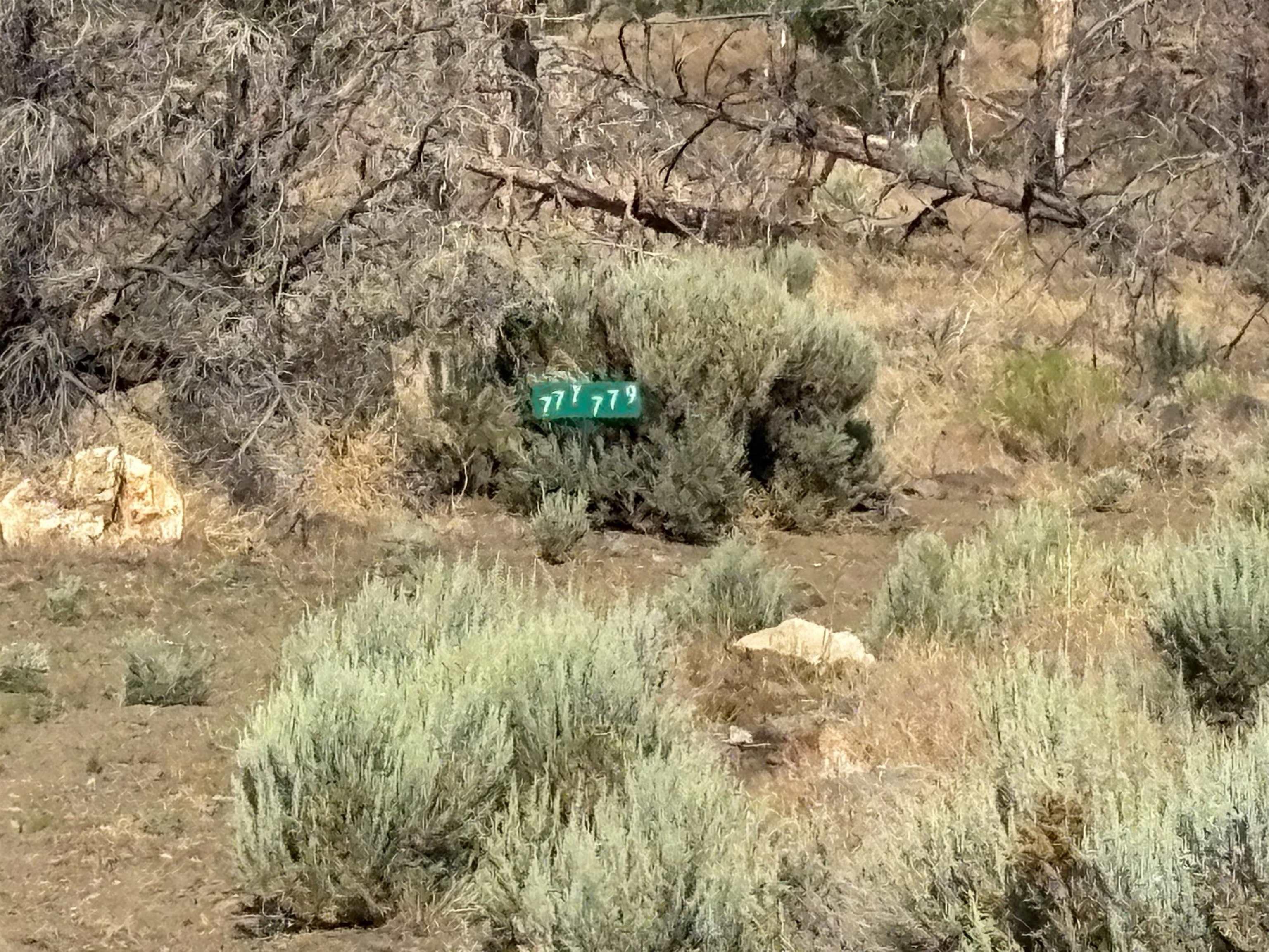 775 Eastside Road Coleville, CA 96107 - Photo 6 of 12