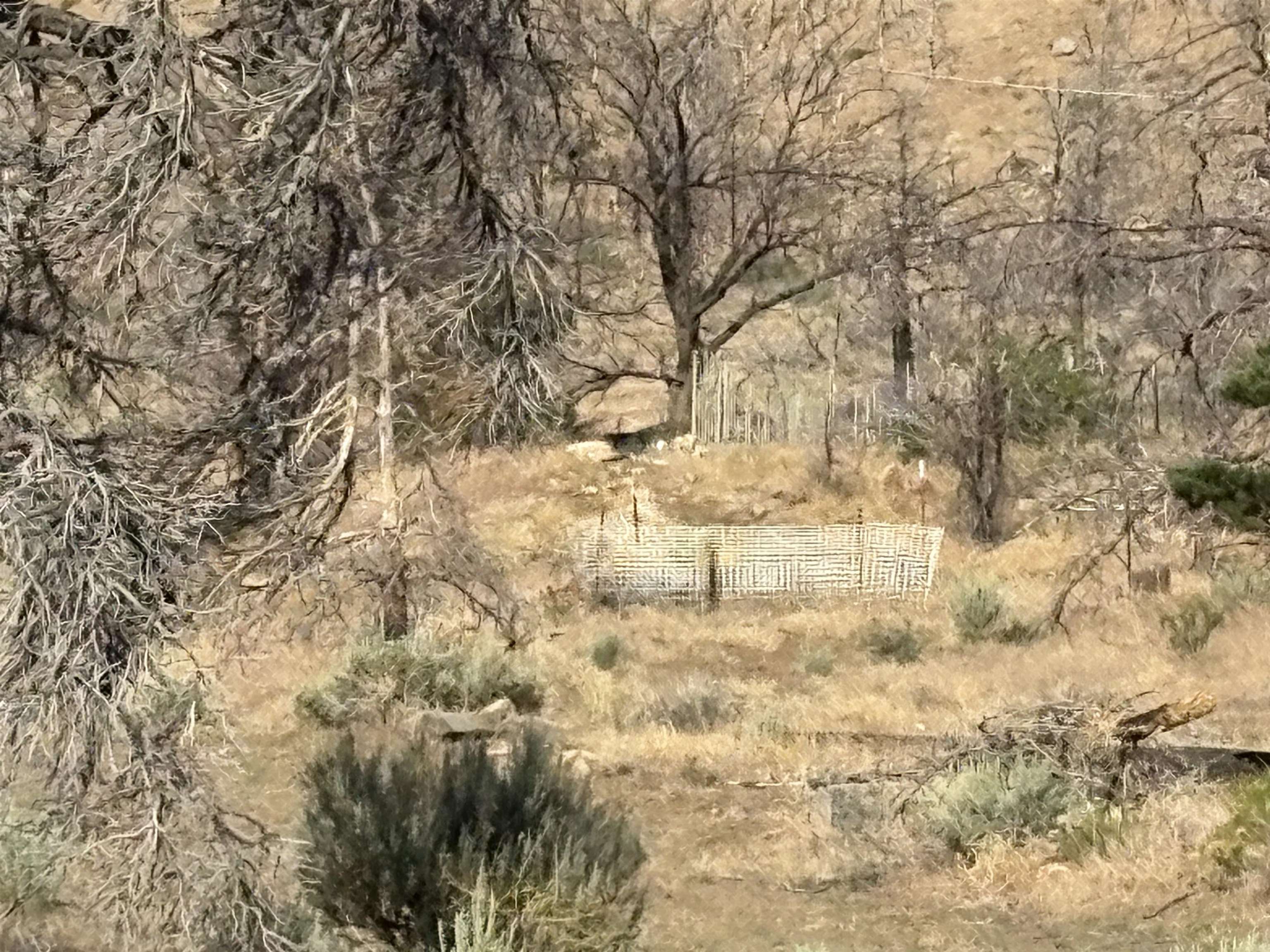 775 Eastside Road Coleville, CA 96107 - Photo 7 of 12