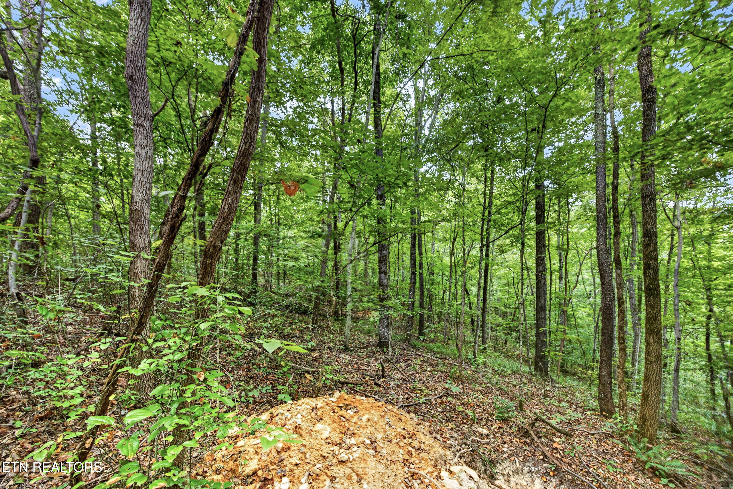 Lot 25 Timber Ridge Lane Celina, TN 38551 - Photo 2 of 12 1-8N5A6698
