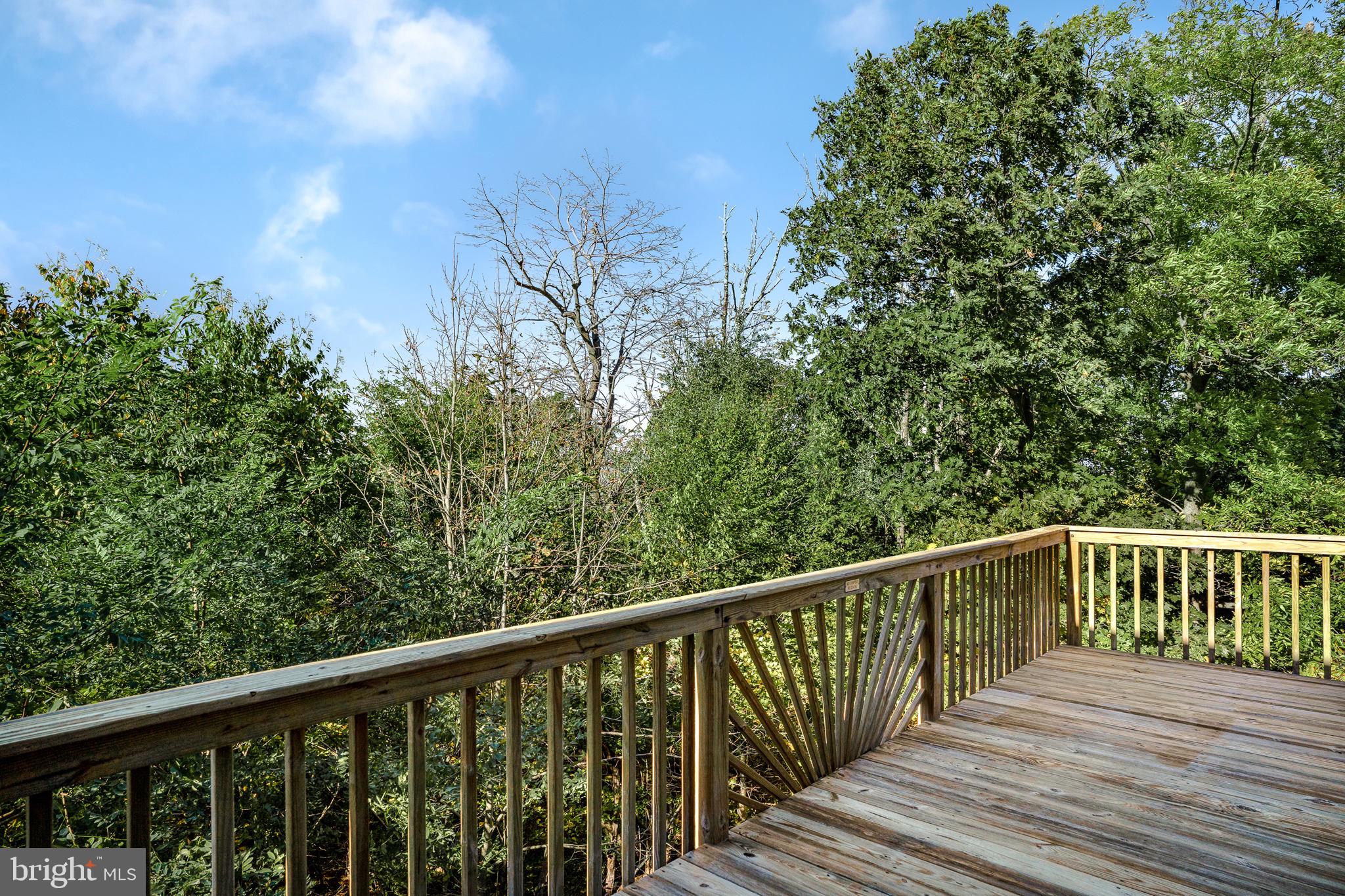 235 Mountain Top Road Front Royal, VA 22630 - Photo 40 of 46 Gallery Image 40