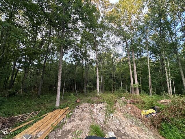 1101 Moss Road Zebulon, NC 27597 - Photo 12 of 22 a backyard of a house with lots of green space