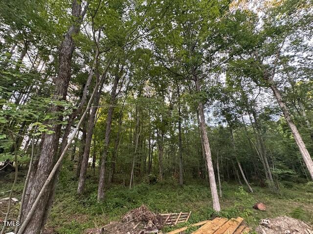 1101 Moss Road Zebulon, NC 27597 - Photo 13 of 22 a backyard of a house with lots of trees