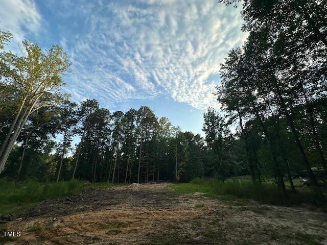 1101 Moss Road Zebulon, NC 27597 - Photo 14 of 22 a view of backyard with green space
