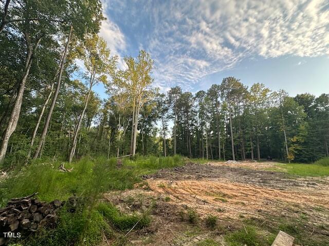 1101 Moss Road Zebulon, NC 27597 - Photo 15 of 22 a view of a park
