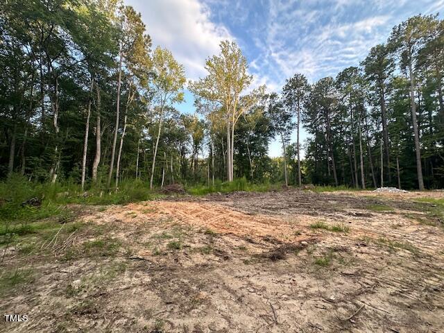1101 Moss Road Zebulon, NC 27597 - Photo 16 of 22 a view of backyard with green space