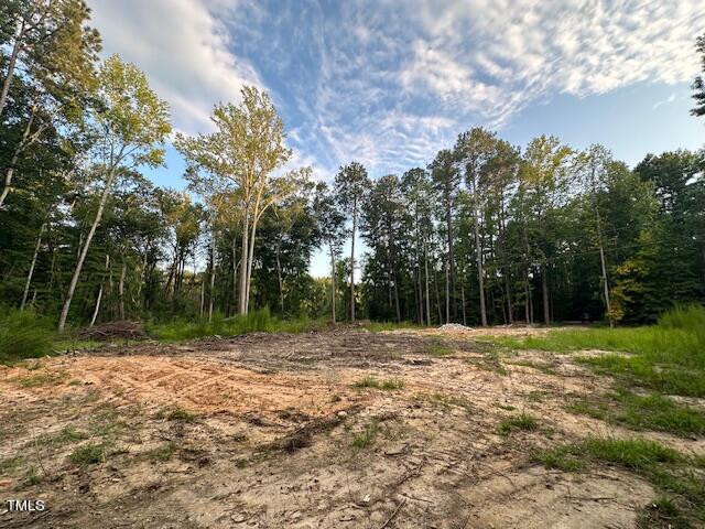 1101 Moss Road Zebulon, NC 27597 - Photo 17 of 22 a view of outdoor space with trees all around
