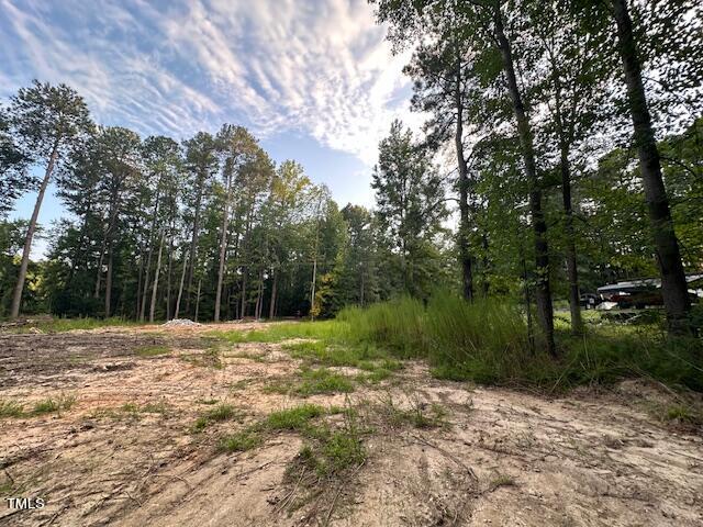 1101 Moss Road Zebulon, NC 27597 - Photo 18 of 22 a view of outdoor space with trees all around