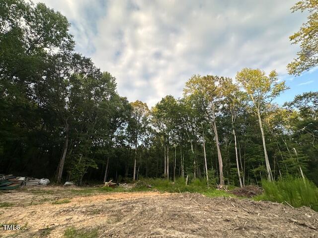 1101 Moss Road Zebulon, NC 27597 - Photo 19 of 22 a backyard of a house with lots of green space