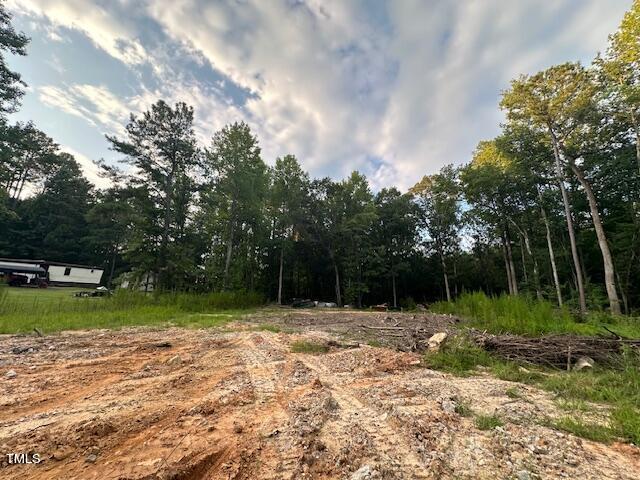 1101 Moss Road Zebulon, NC 27597 - Photo 20 of 22 a backyard of a house with lots of green space and trees
